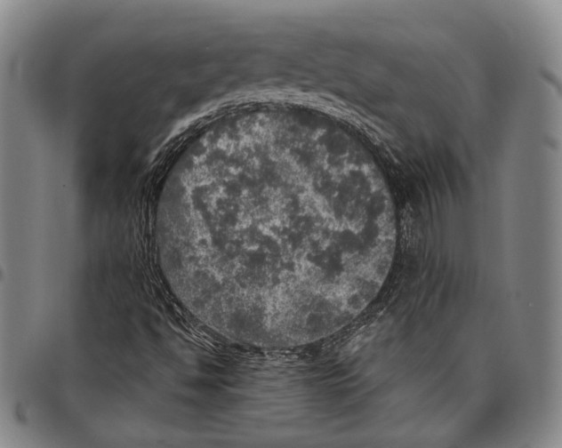 X0000096471494200802211137