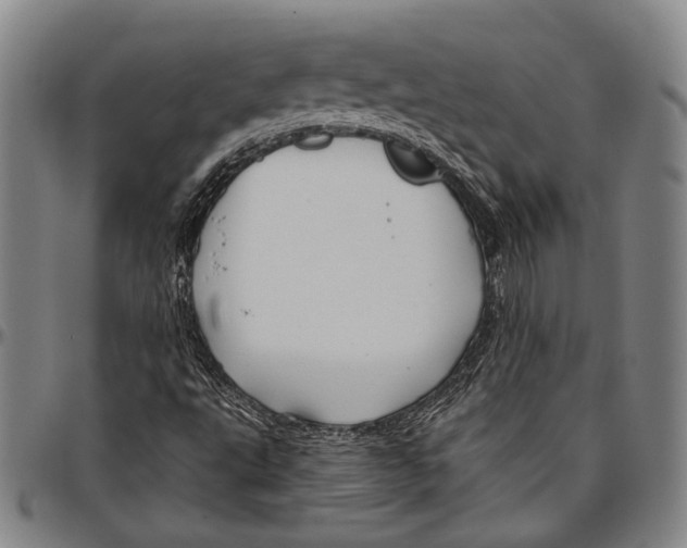 X0000096471495200802211137