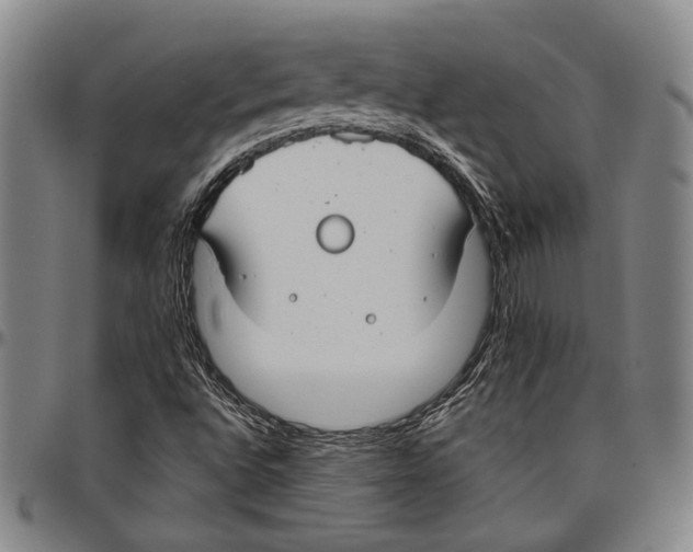 X0000096471496200802211137