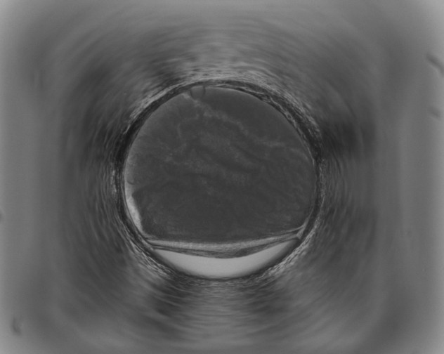 X0000096471497200802211137