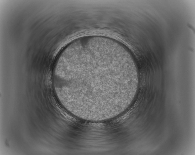 X0000096471498200802211137