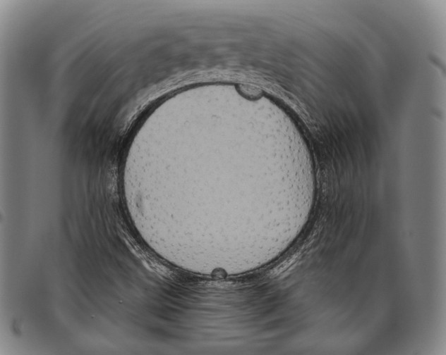 X0000096471499200802211137