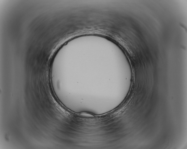 X0000096471500200802211137