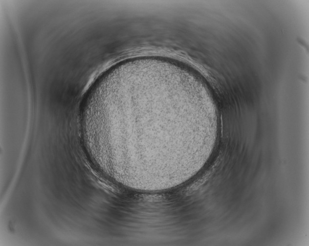 X0000096471501200802211137