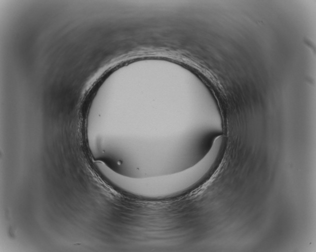 X0000096471502200802211137