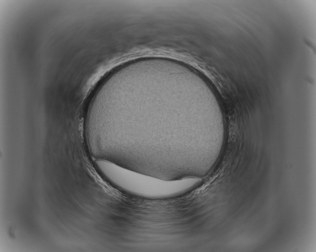 X0000096471503200802211137