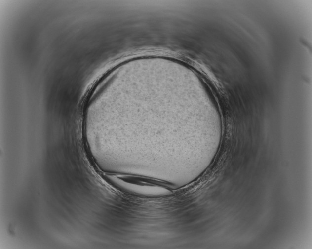 X0000096471504200802211137