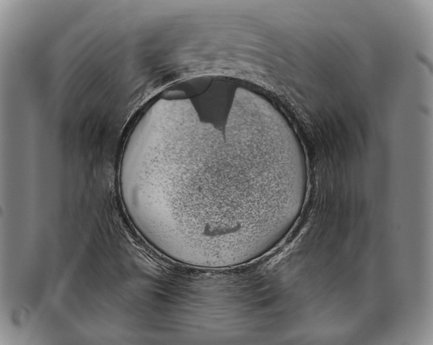 X0000096471505200802211137