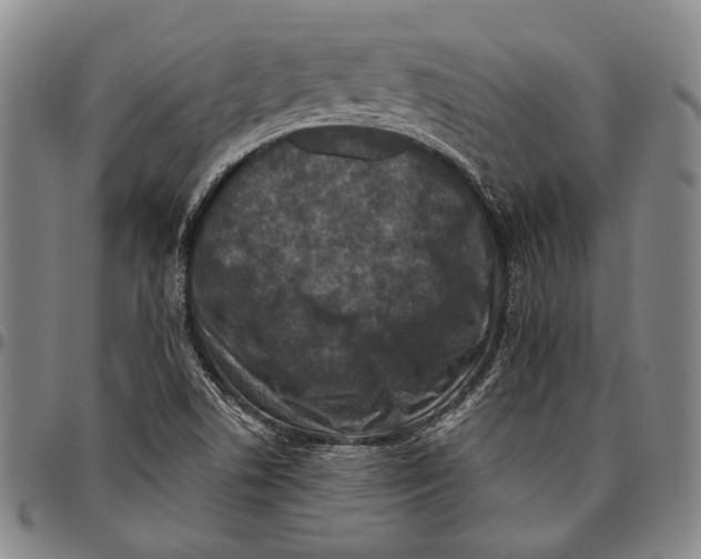 X0000096471506200802211137