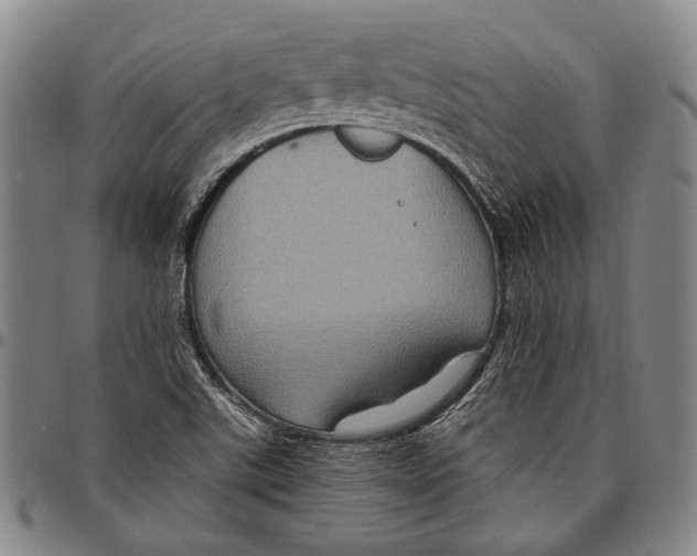 X0000096471507200802211137