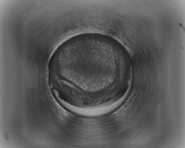 X0000096471508200802211137