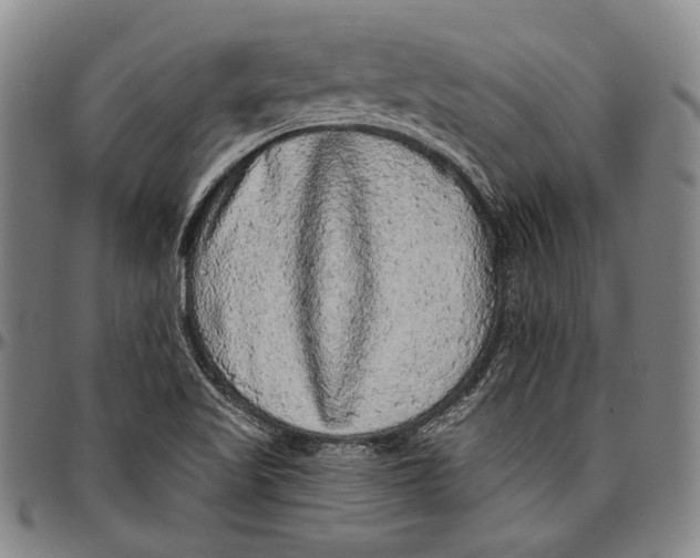 X0000096471509200802211137