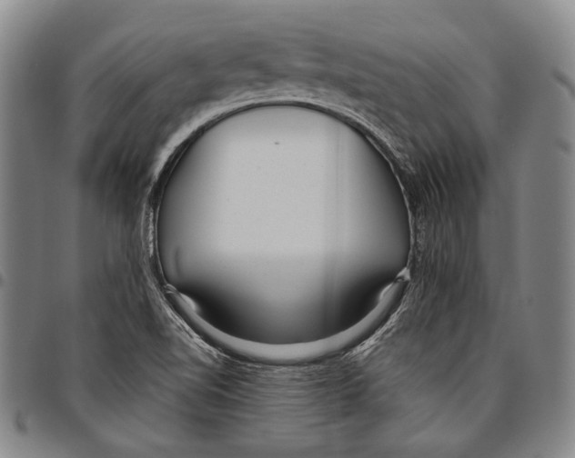 X0000096471510200802211137