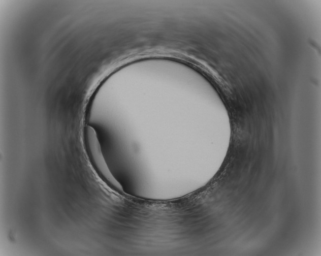 X0000096471512200802211137