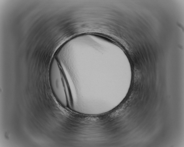 X0000096471513200802211137