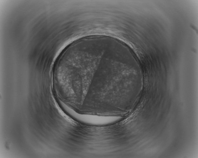 X0000096471515200802211138