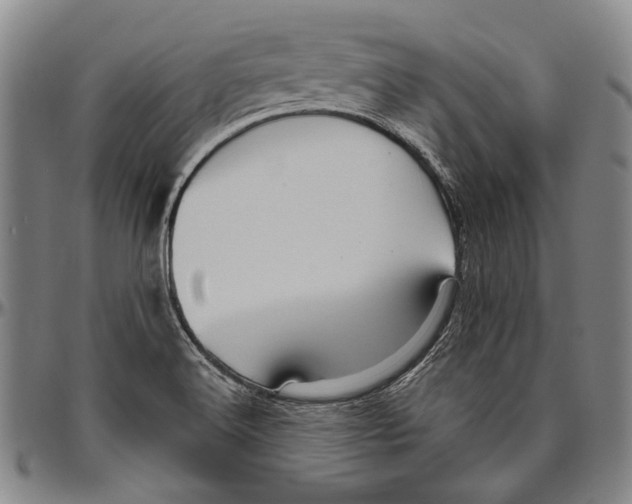 X0000096471516200802211138