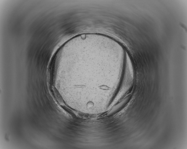 X0000096471517200802211138