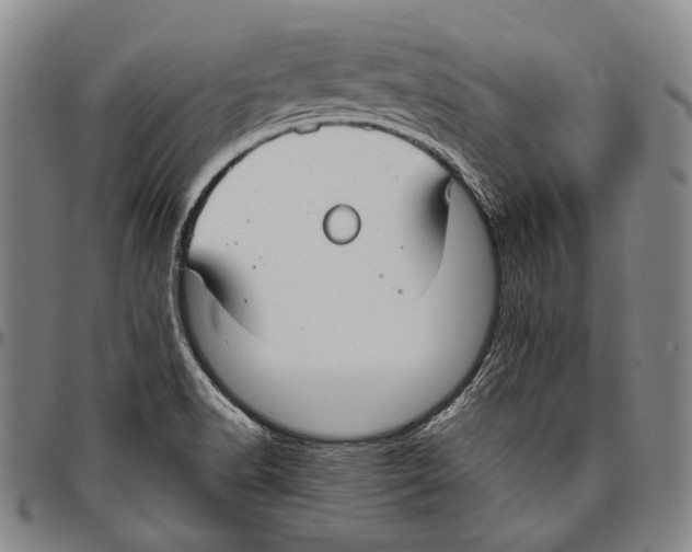 X0000096471518200802211138