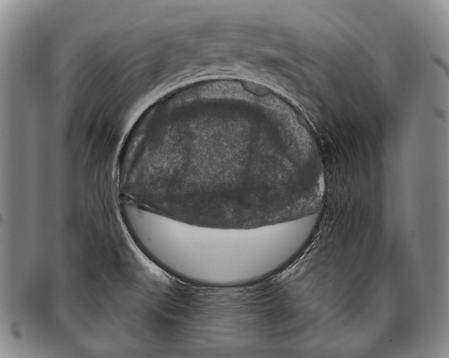 X0000096471519200802211138