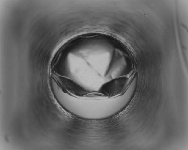 X0000096471520200802211138