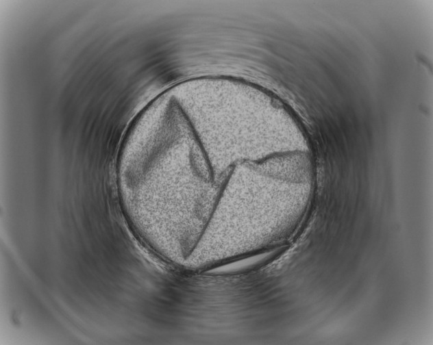 X0000096471521200802211138