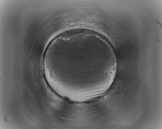 X0000096471522200802211138