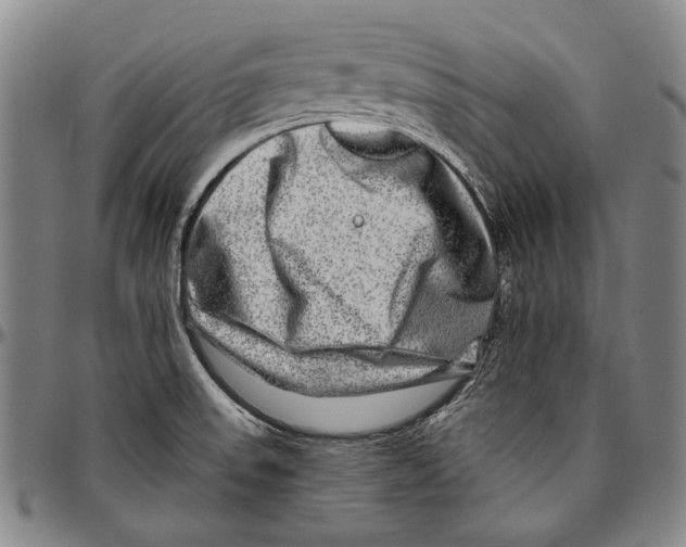 X0000096471523200802211138