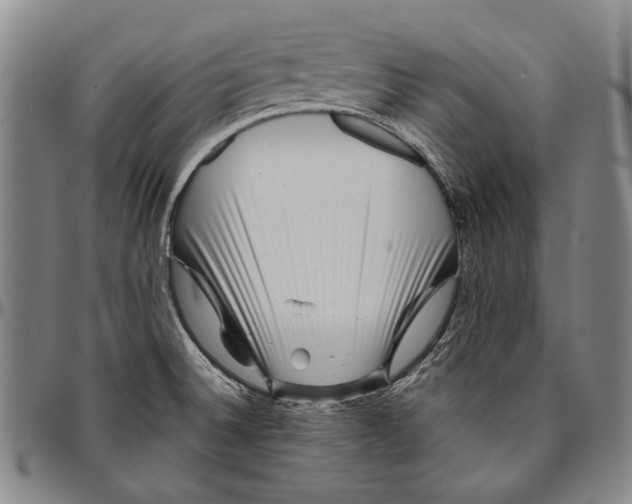 X0000096471524200802211138