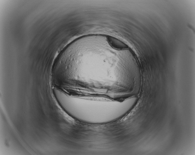 X0000096471525200802211138