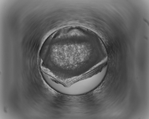 X0000096471527200802211138