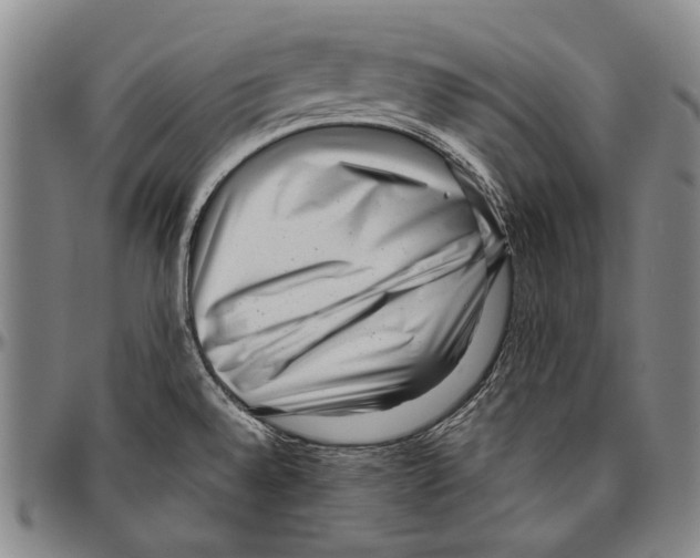 X0000096471528200802211138