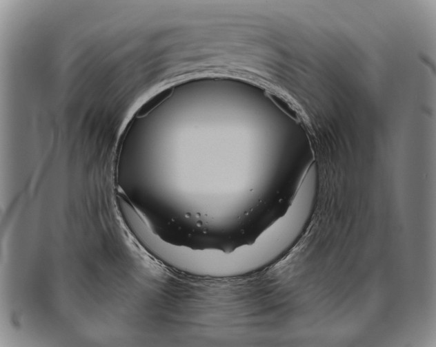 X0000096471530200802211138