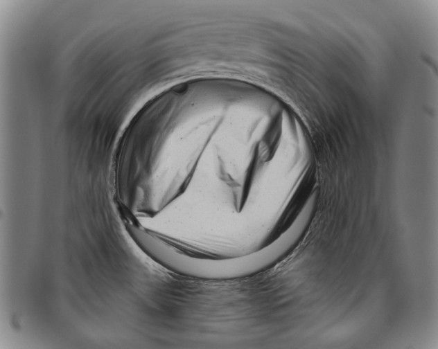 X0000096471531200802211138