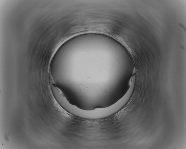 X0000096471532200802211138