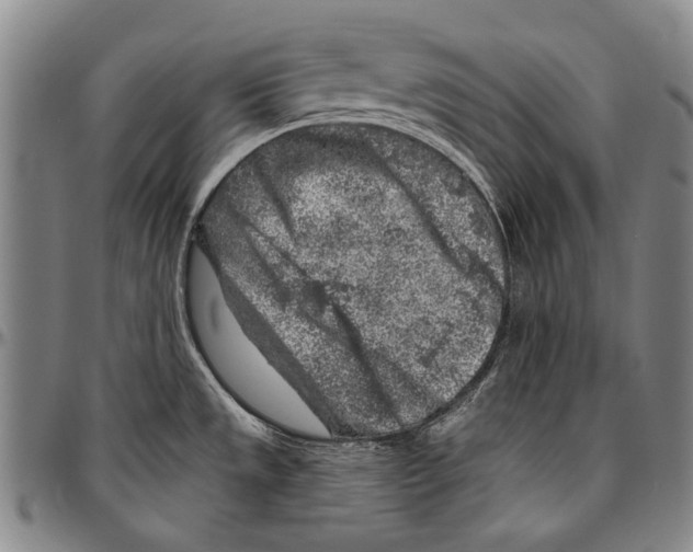 X0000096471533200802211138