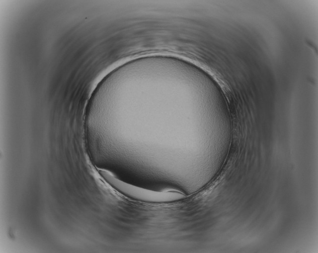 X0000096471534200802211138