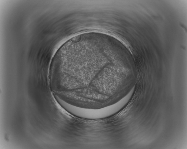 X0000096471535200802211138