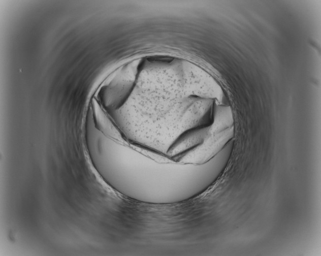 X0000096471536200802211138