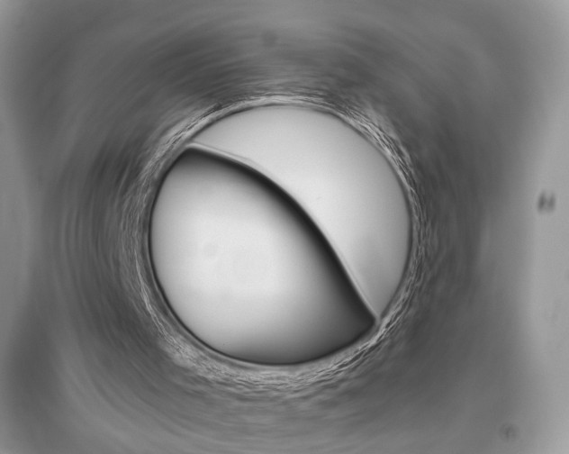 X0000096480001200801241158