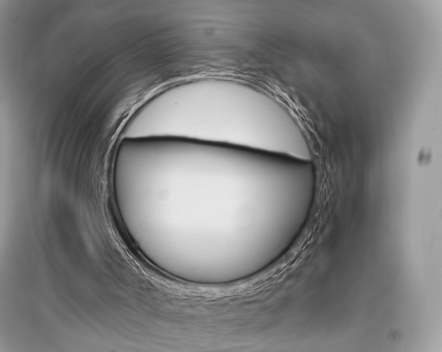 X0000096480002200801241157