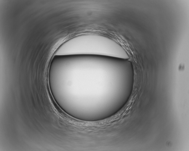 X0000096480003200801241157