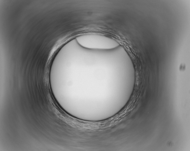X0000096480004200801241157