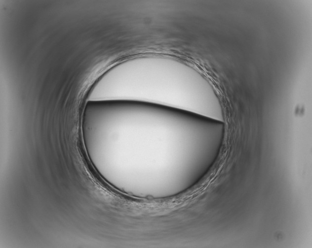 X0000096480005200801241157