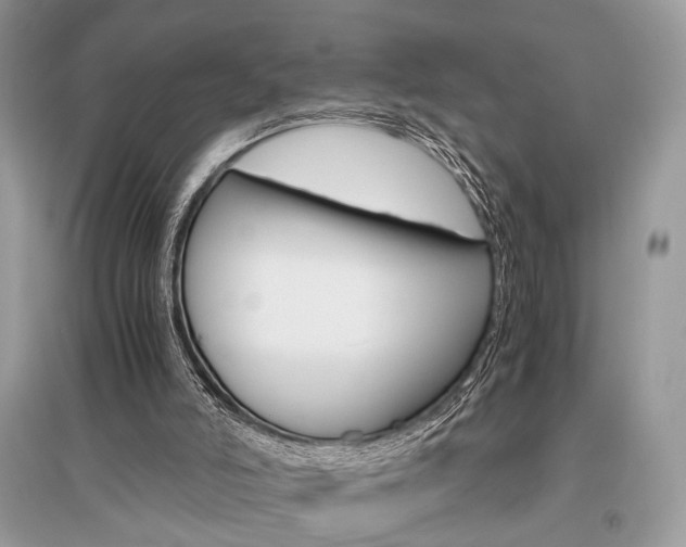 X0000096480006200801241157