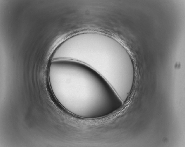 X0000096480007200801241157