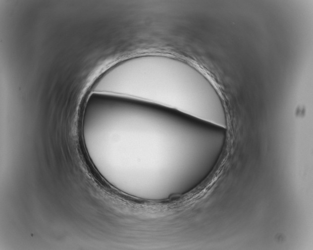 X0000096480008200801241157