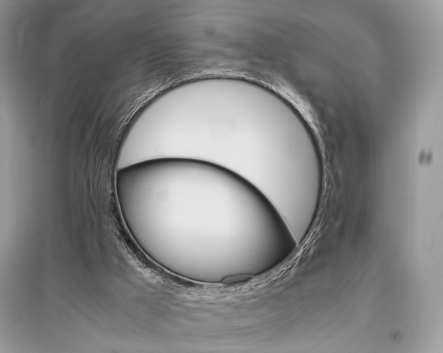 X0000096480009200801241157