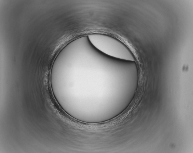 X0000096480010200801241157