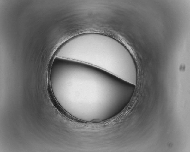 X0000096480011200801241157